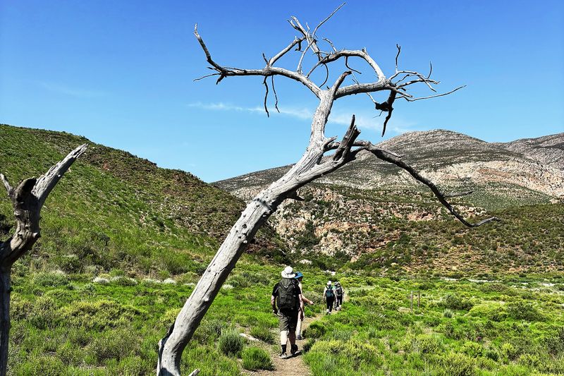 ESCAPE: Walking the Leopard Trail — Four days of fynbos, fatigue and fierce resilience