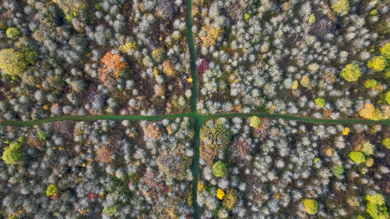 Farmer left 377-acre wheat field wild in 1988 — it’s now a major wildlife refuge