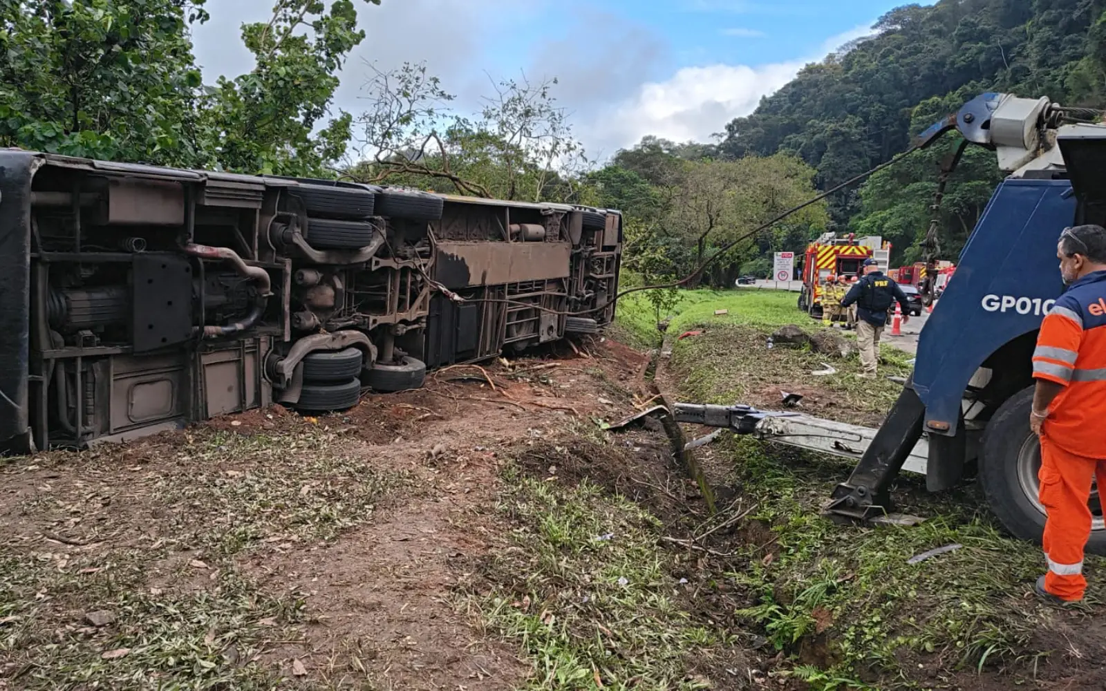Bus accident kills at least 8 in Brazil