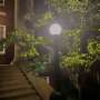 Reducing night lights in cities has ecological effects