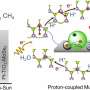 Key photocatalyst technology for converting greenhouse gases into future fuels