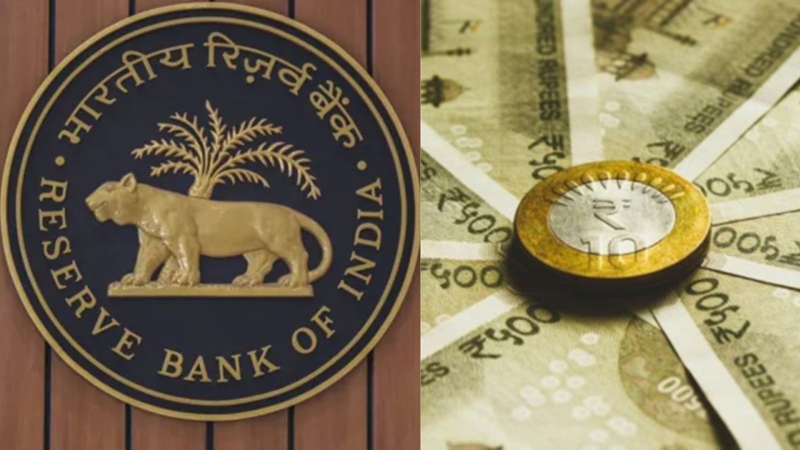 Rupee rallies 95 paise to six-month high after RBI curbs speculation