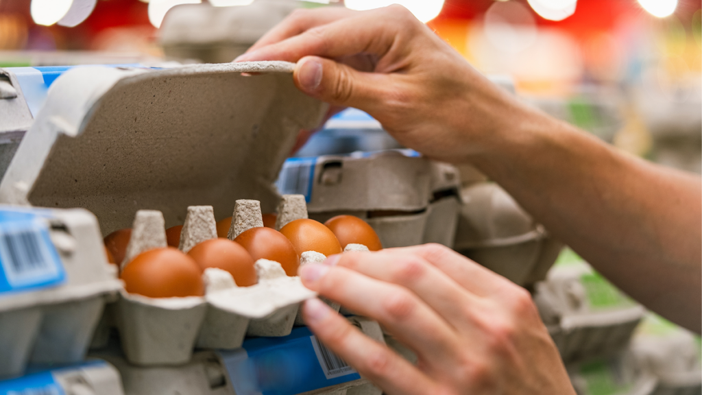 13 people ill from salmonella as Spanish eggs are pulled in ‘serious’ EU alert