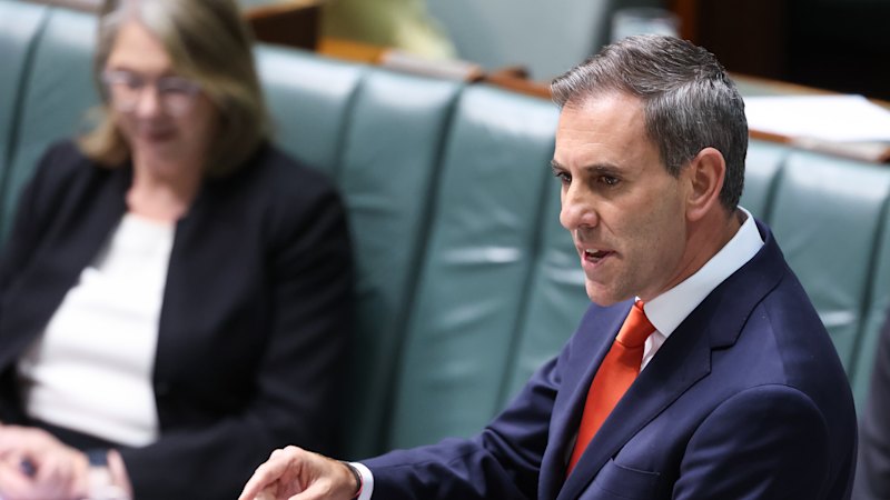Labor MPs want to find a way to keep ATO credit card payments
