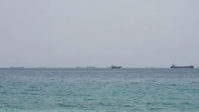 Shipping slows through Strait of Hormuz after tanker attacks, data shows