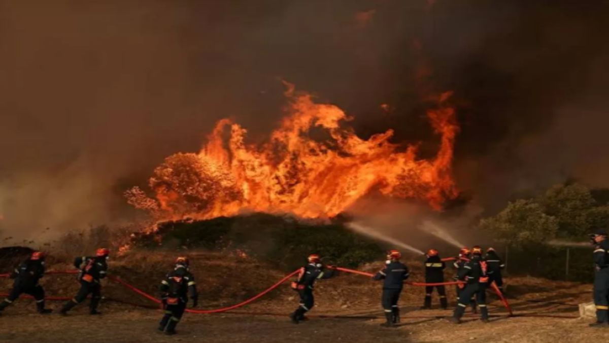 Belgium's largest wildfire nears German border