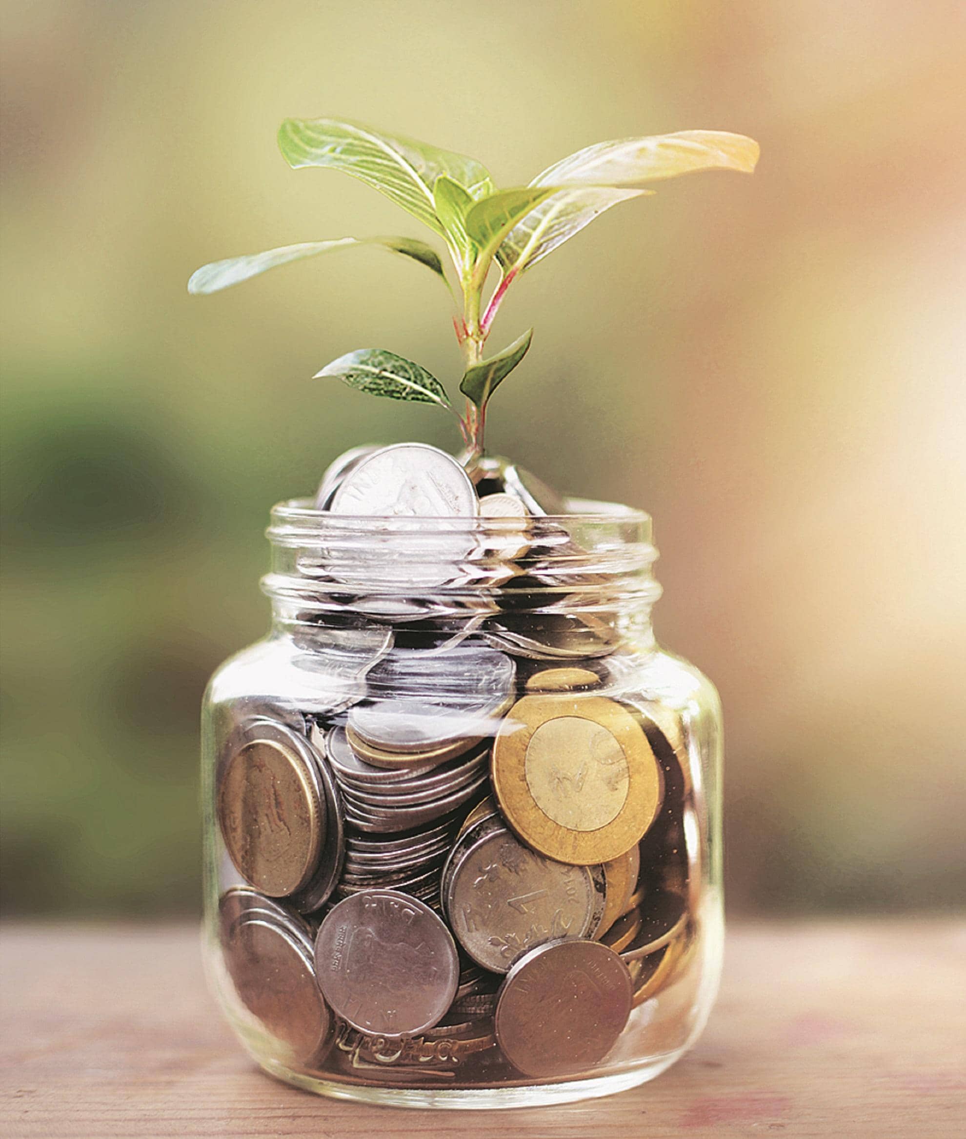 Equity mutual fund inflows hit 5-month high on small, midcap rush