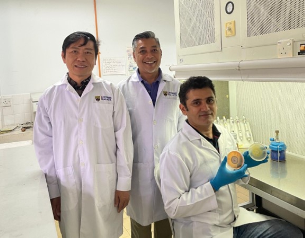 Antarctic fungi offer new hope for Alzheimer’s drug discovery — Teoh Teow Chong and Mohammed Rizman Idid