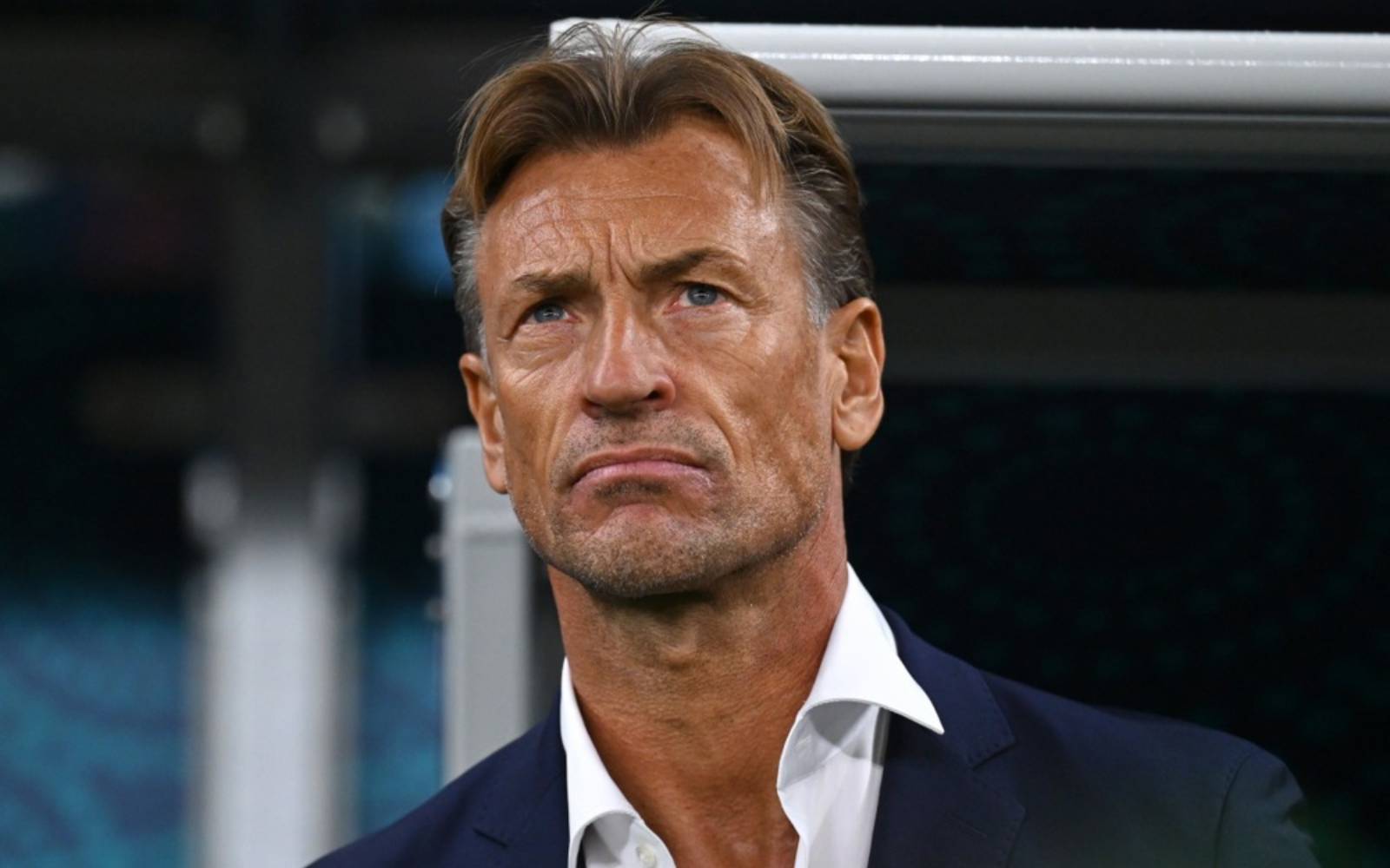Frenchman Renard named Ivory Coast coach for second spell