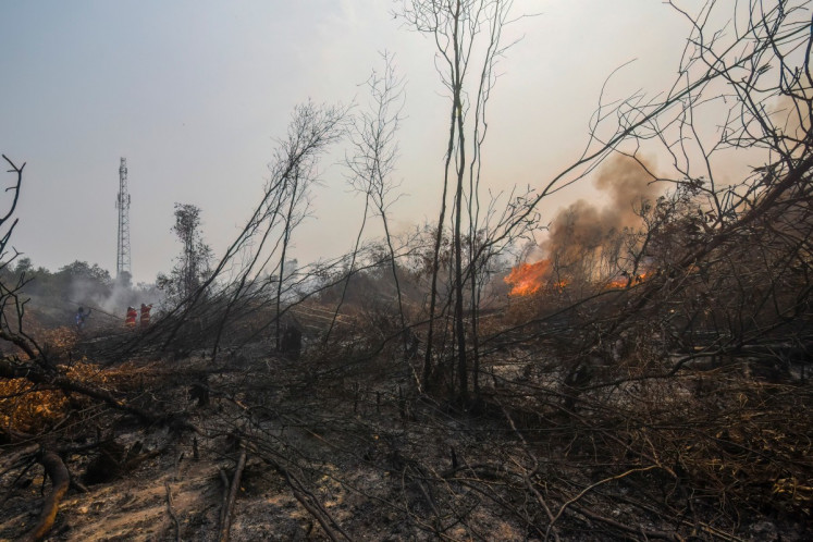 Damaged and drained, Indonesia's peatlands go up in smoke