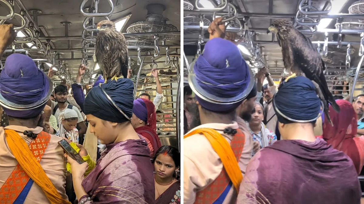 VIDEO: Hawk Spotted Inside Mumbai Local Train, Calmly Perches On Female Nihang Passenger’s Turban