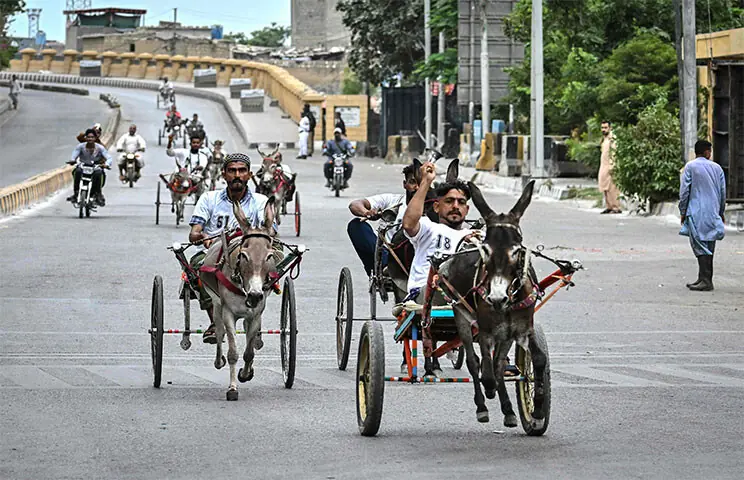 Donkey-cart racers keep Karachi’s traditional sport alive