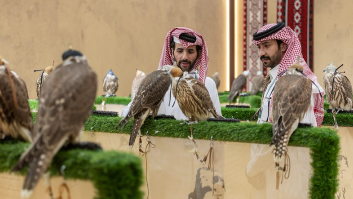Fourteen new falcon farms boost global presence at international auction