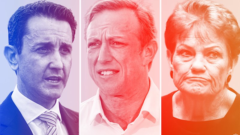 One Nation steadies within striking range of lagging Queensland Labor