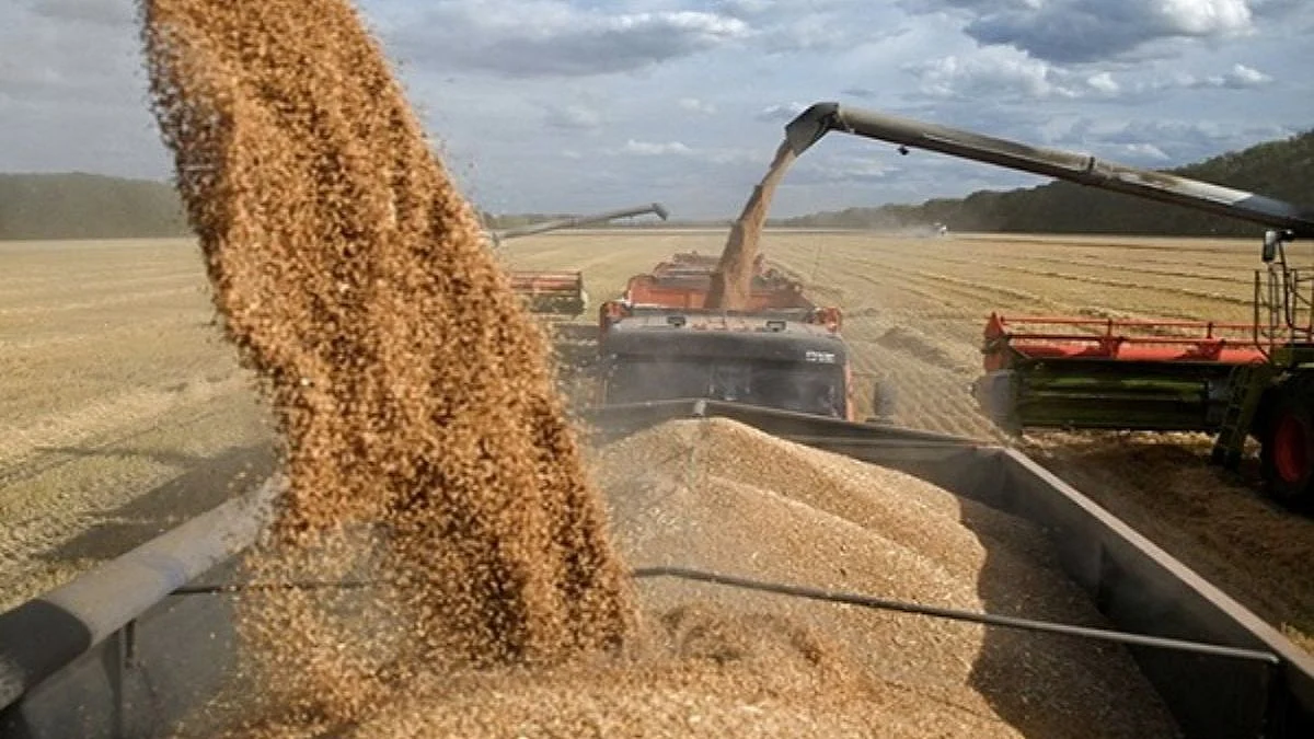 IIT Kharagpur Develops Advanced Foodgrain Processing Technology To Boost Efficiency, Cut Processing Time And Minimise Grain Losses
