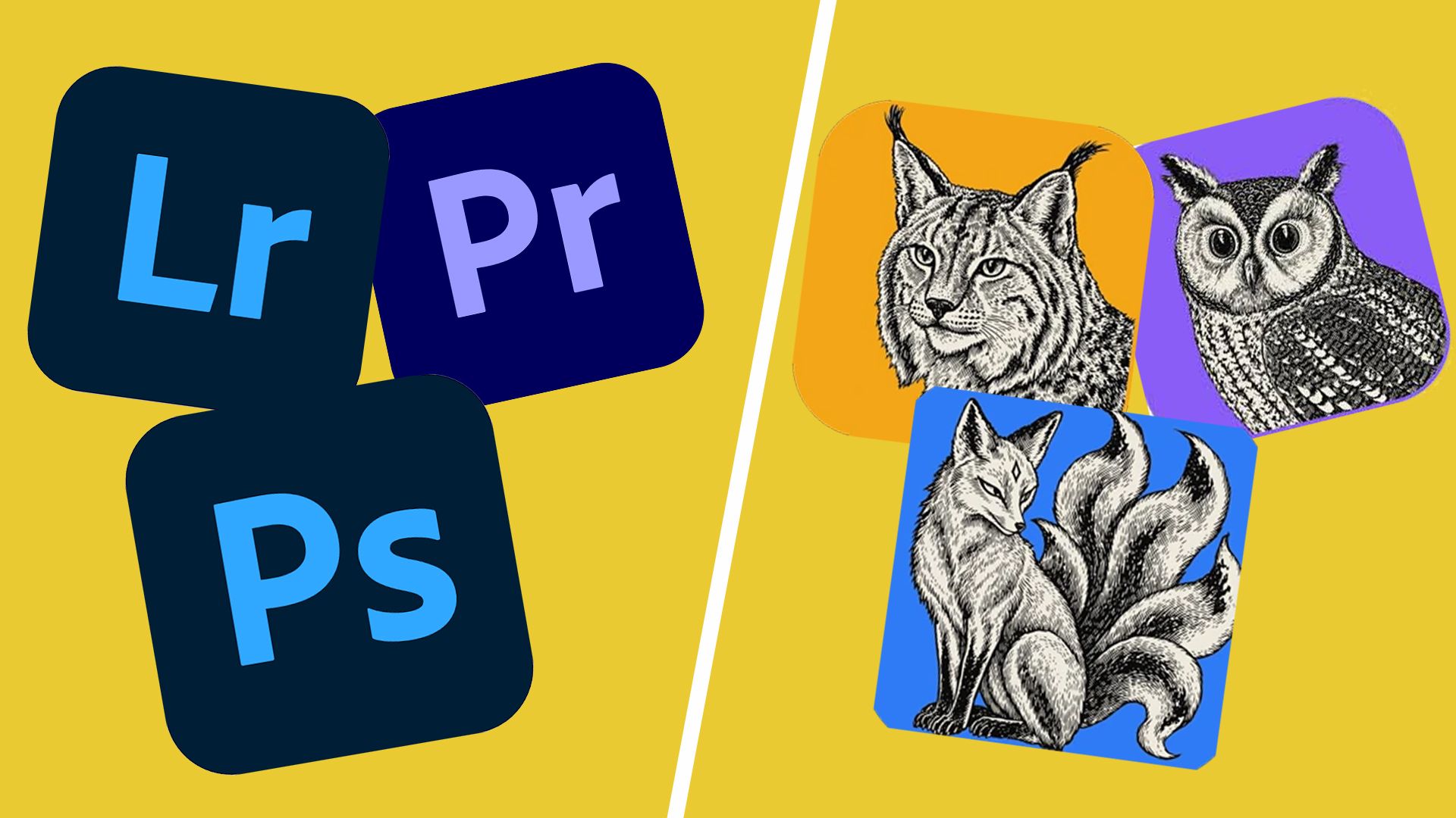 I tried those free AI-coded Adobe Creative Cloud clones, and they have some big problems