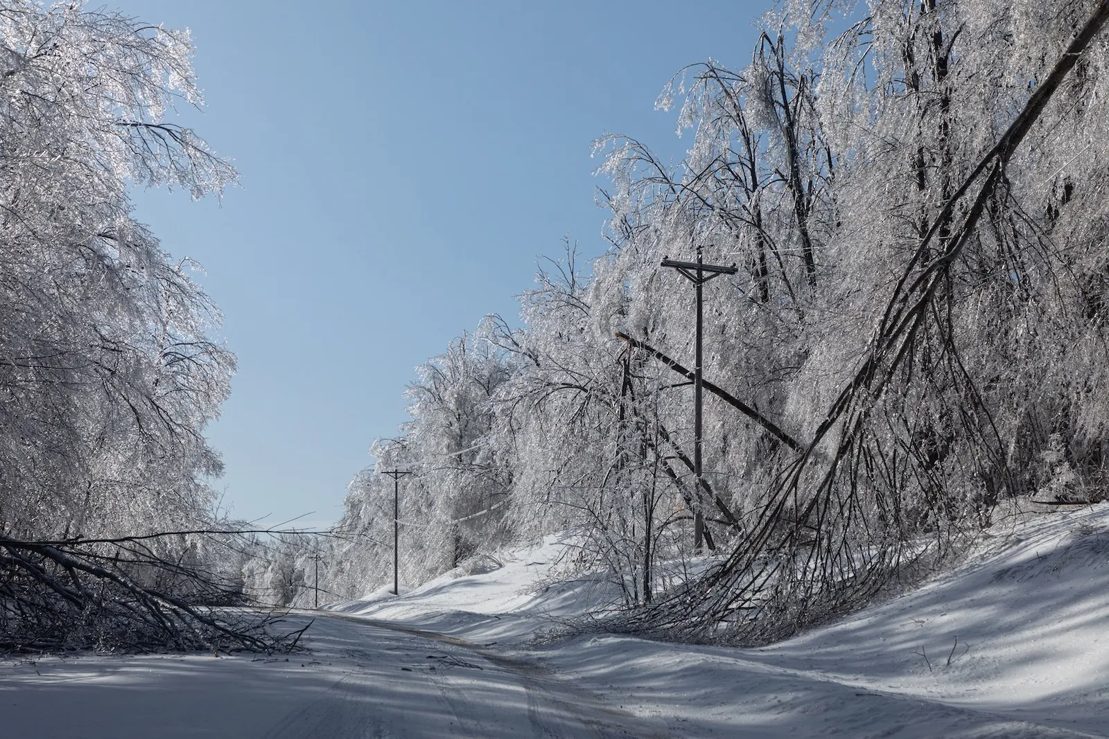 A federal program to restore forests after disaster has gotten too many funding requests