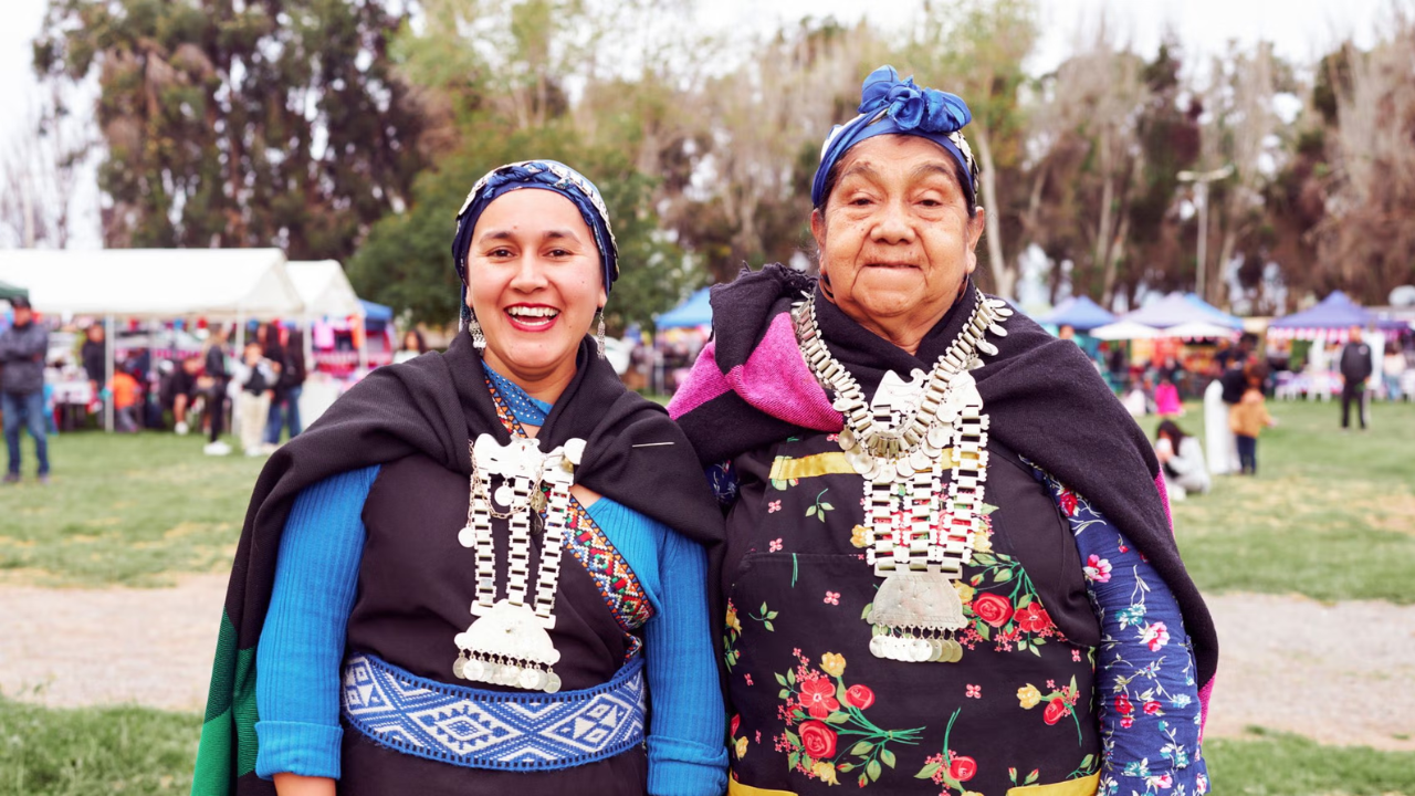 Chile gave Mapuche 510,000 acres since 1993, forests barely grew