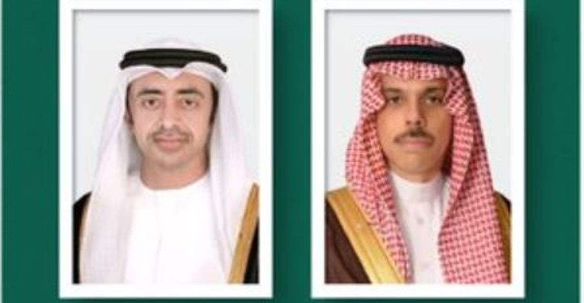 UAE foreign minister voices full support for Saudi Arabia after Houthi attacks