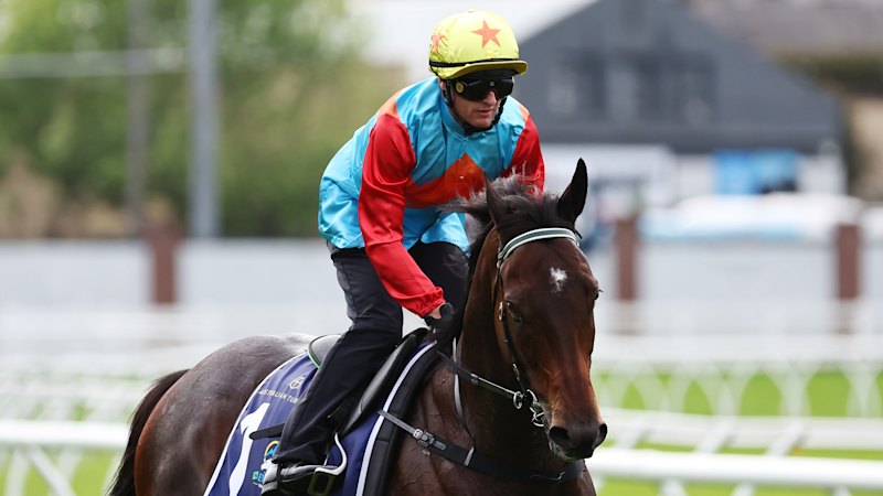 Hayes unfazed about wide draw for Ka Ying Rising but keeping an eye on the skies