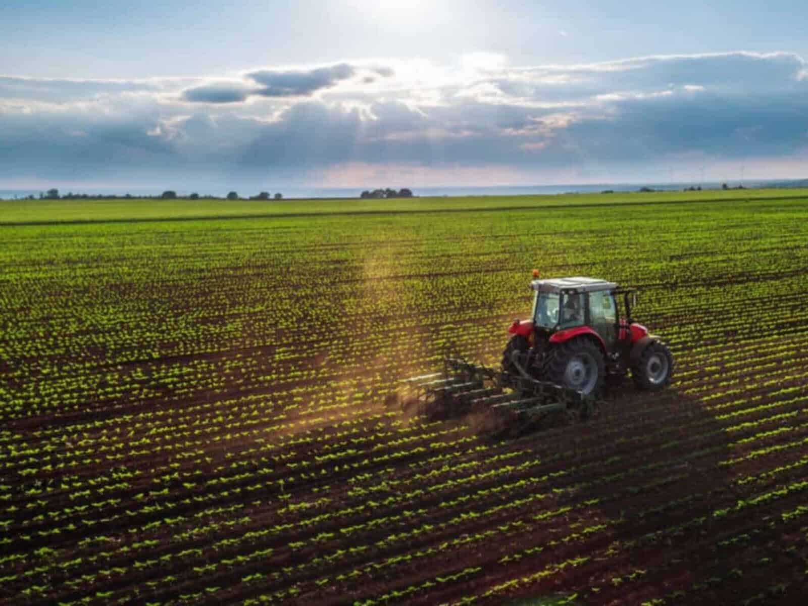 Land reform system faces collapse without radical overhaul