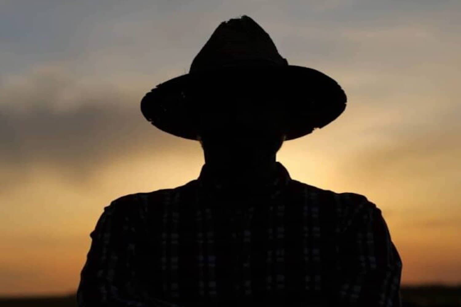 Afasa warns land reform failures are setting black farmers up to fail
