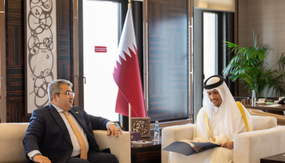 Amir receives written message from Egypt's President