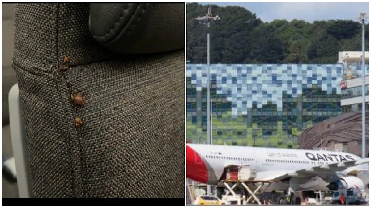 Qantas Grounds Boeing 787 After Passengers Report Bedbug Bites On 17-Hour Flight, Cancels Return Service