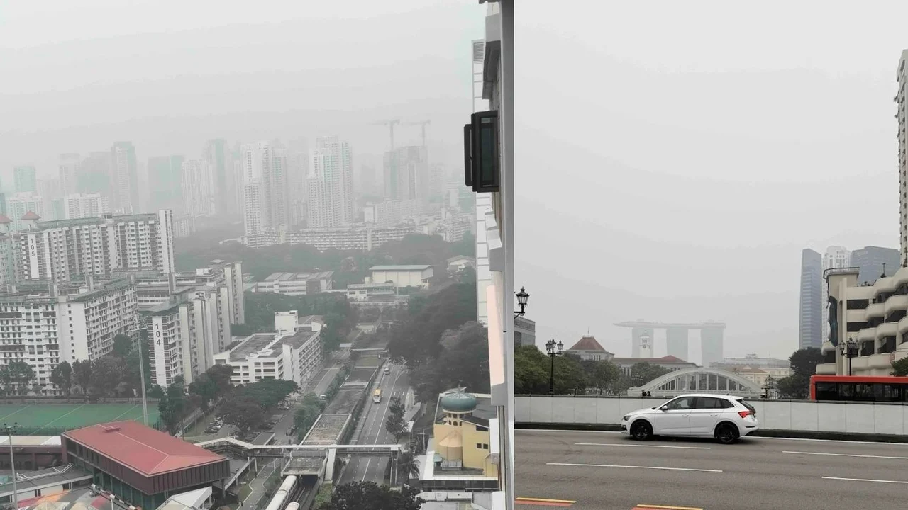 Ex-NMP Calvin Cheng says haze left some visitors to Singapore with a very bad impression