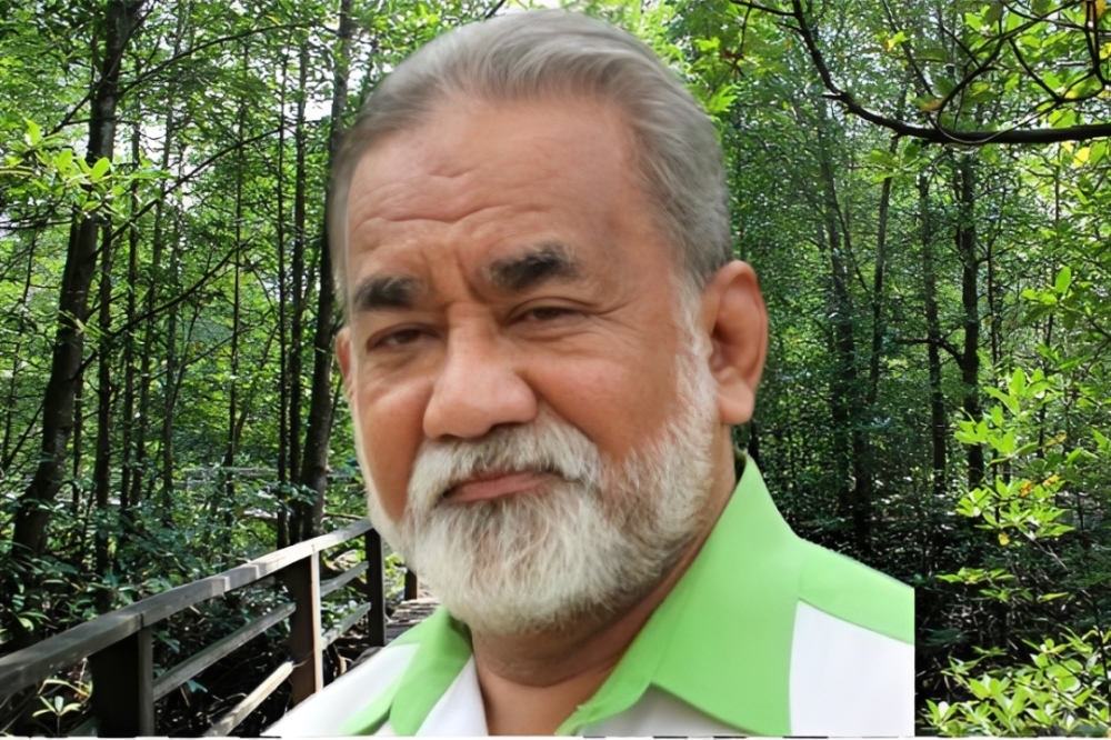 Future of Likas Wetlands, one of world’s only two city mangrove Ramsar sites, hangs in balance with mega project next door