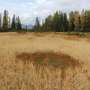 Satellite model finds Alpine peatlands may be smaller than official maps show