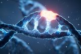 A New Gene Editing Technique May Reduce Some CRISPR Risks, But Raises Ethical Concerns