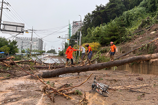 Torrential Rain Hits Southern Regions, Leaving 1 Dead