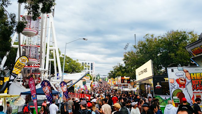 One Nation says volunteer in branded shirt attacked by youths at Ekka