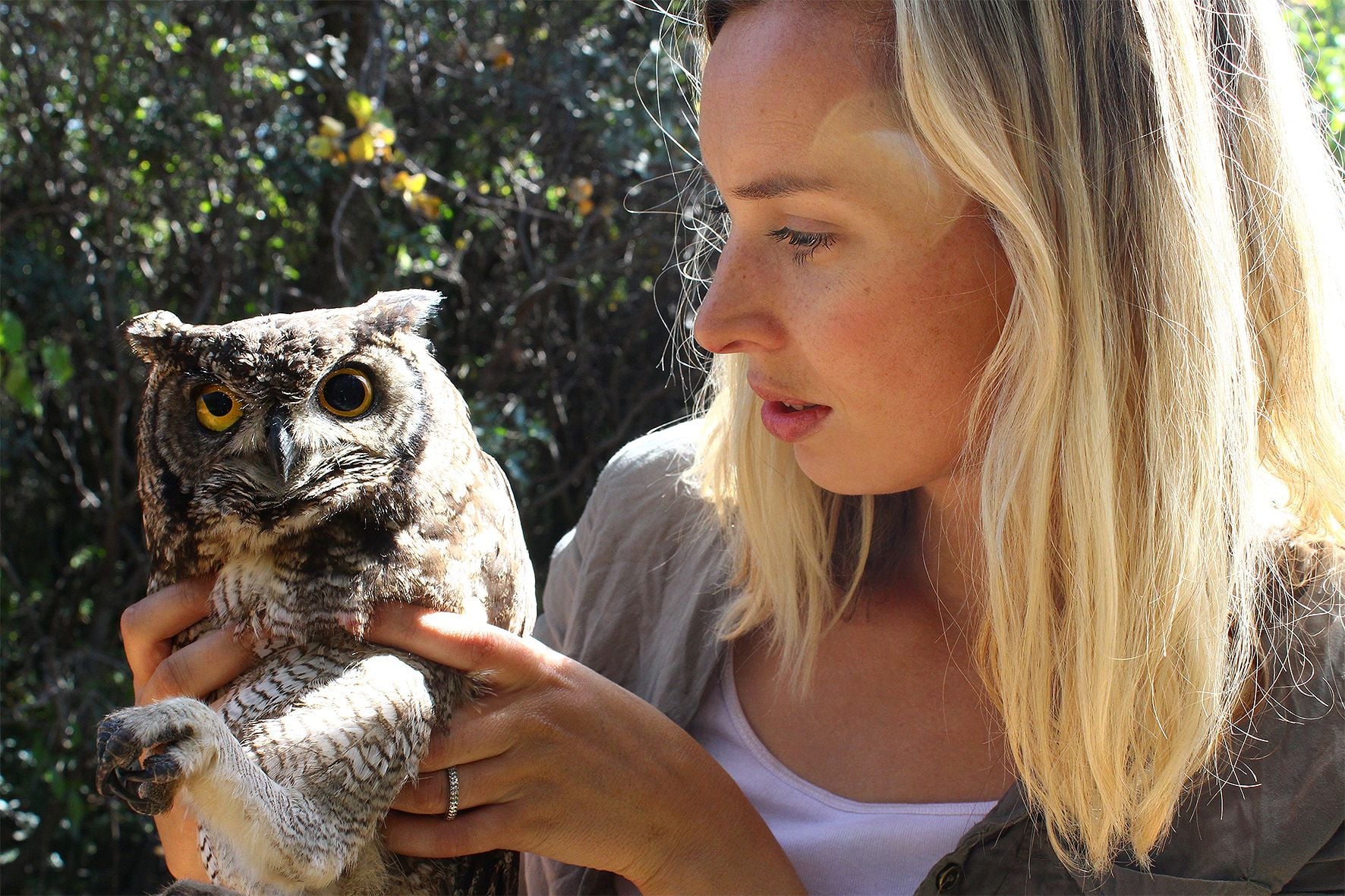 Danelle and Brendan Murray: Creating a safe haven for owls