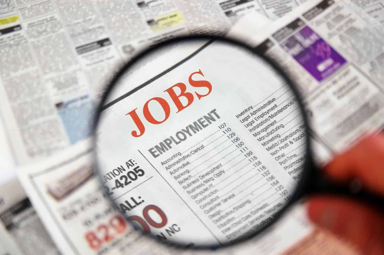 DA cites plan to slash Limpopo’s growing unemployment
