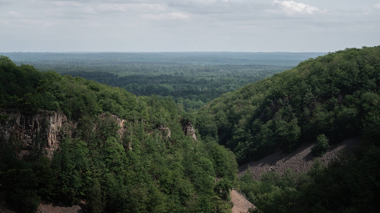 Sweden's Soderasen is now one of northern Europe's largest protected forests