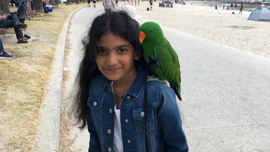 Warning signs missed before Melbourne girl’s death in ED, coroner finds