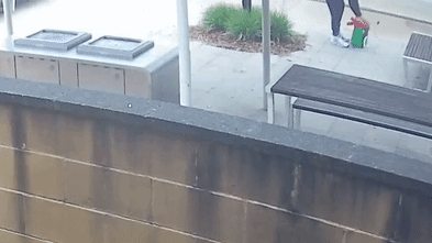 CCTV released of alleged Sydney hammer attacker