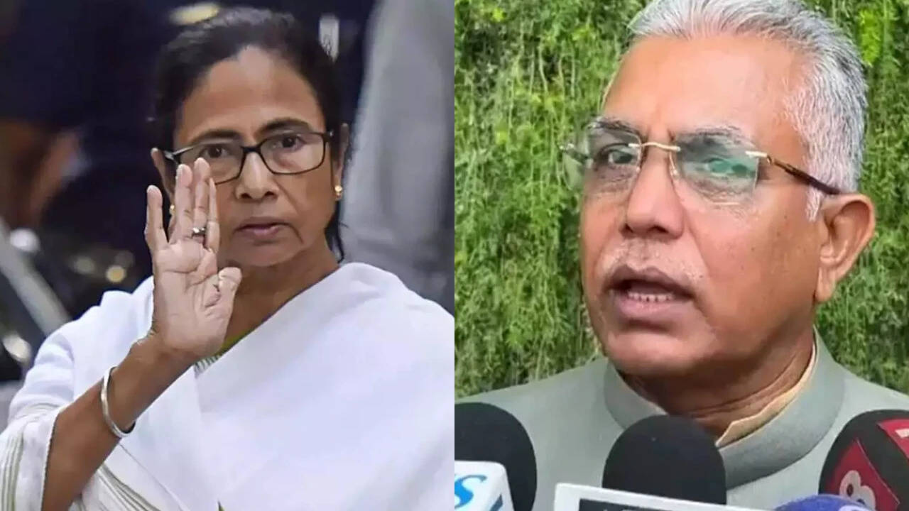 'Makes such claims all the time’: BJP dismisses TMC’s Mamata knife attack allegation