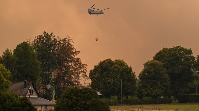 Belgium races to tame wildfire creeping towards Germany