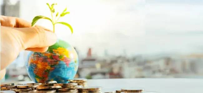 FINANCIAL WELLNESS COACH: US asset may not be the best bet when it comes to estate planning