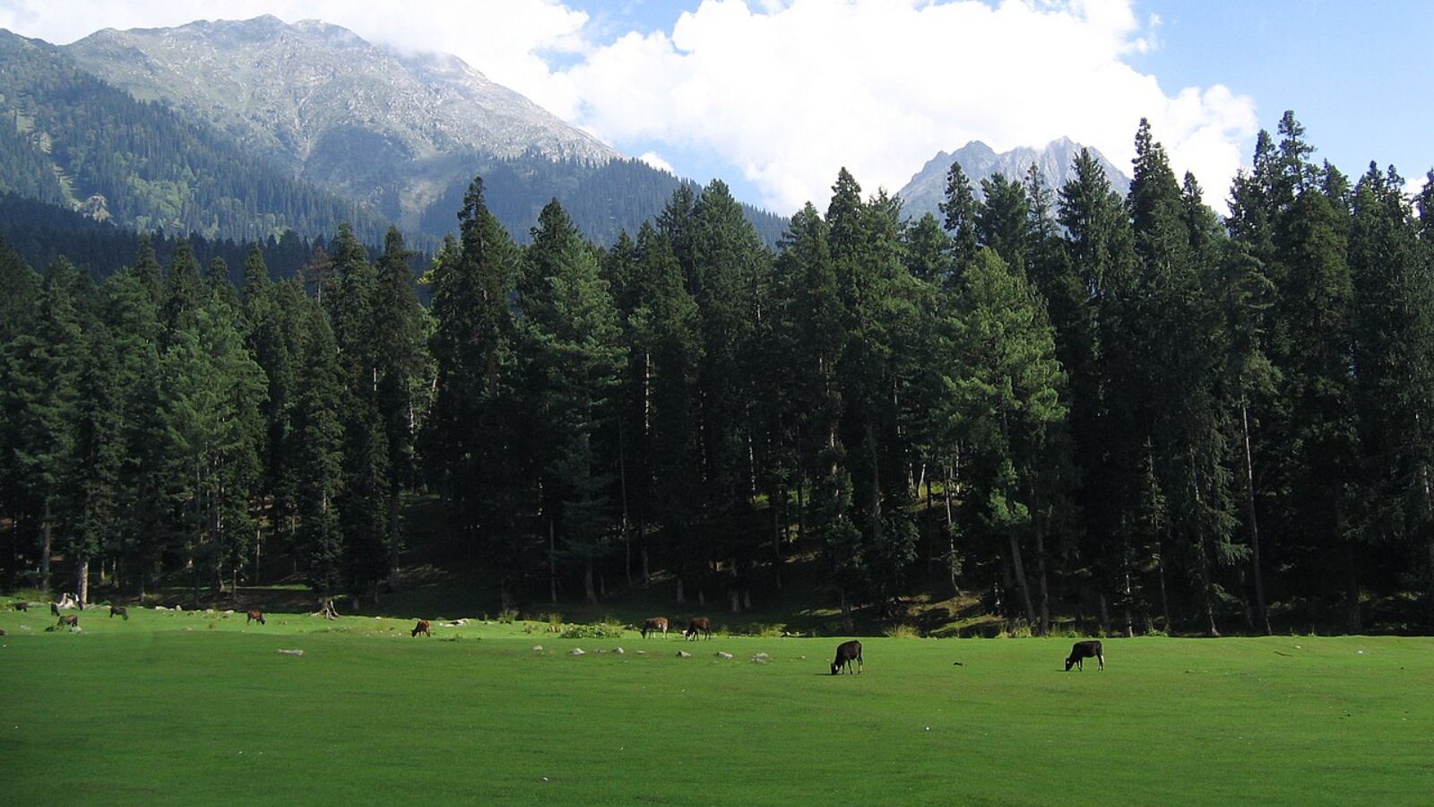 Unsteady tourism, cloudbursts, and hope: A year later, how Pahalgam is surviving