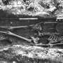 'Lost' Iron Age cemetery reanalyzed more than 70 years after its finds went missing