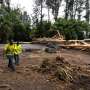Hawaii recovery efforts begin as Lala is downgraded, moves west