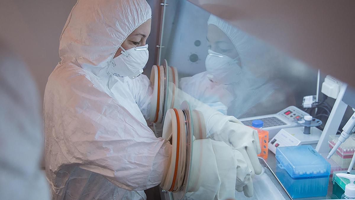 Pathogens, pandemics and parleys