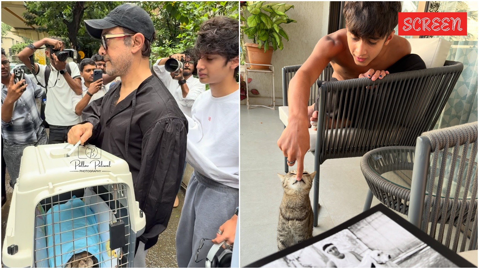 Kiran Rao pens an emotional note as pet cat dies, son Azad Rao in tears: ‘Our hearts forever’