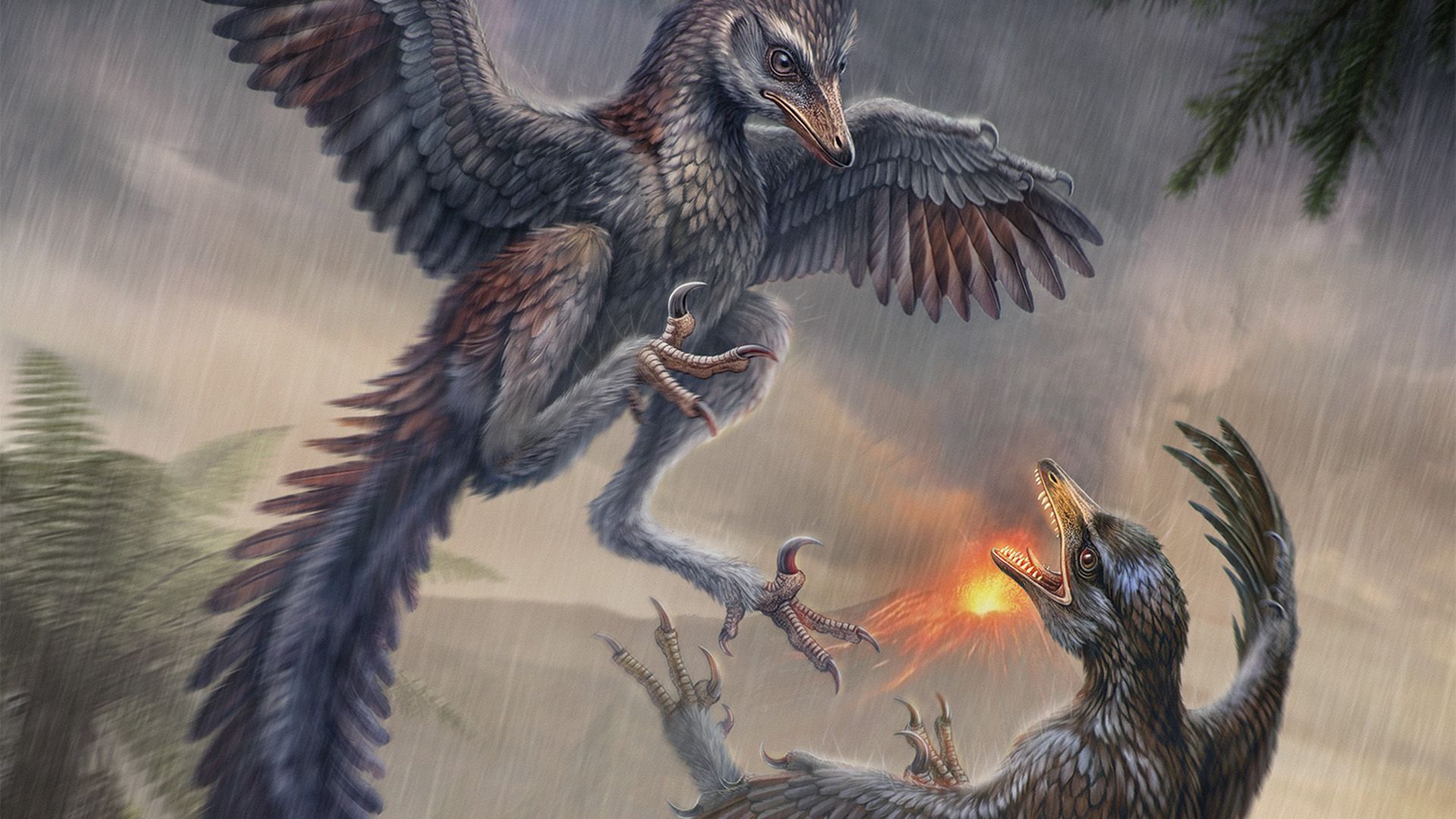 Flightless Jurassic bird was like a carnivorous pheasant with killer claws