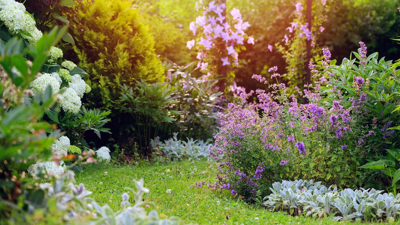Vacation-proof your yard this August: 4 garden hacks to save your plants while you’re away