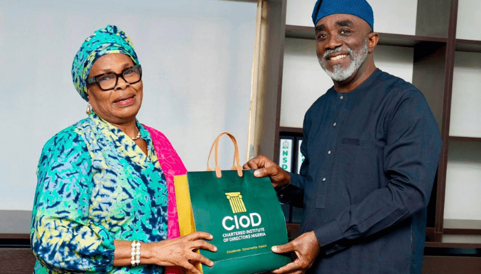 NSDC mobilises $1bn investment pipeline, tightens enforcement